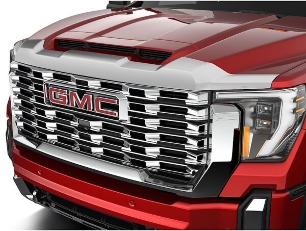 Bug Deflectors / Bug Guards - Starting at $120 - Image 8