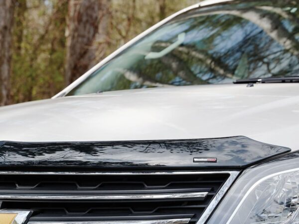 Bug Deflectors / Bug Guards - Starting at $120 - Image 2